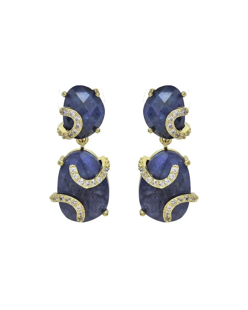 Pandora Earrings